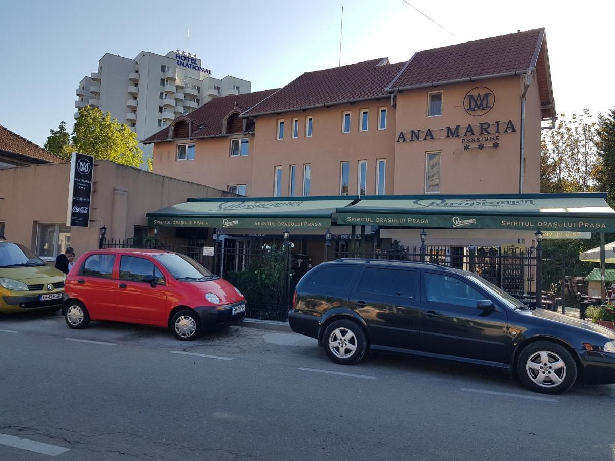 Pensiunea Ana Maria Băile Felix Exteriér fotografie