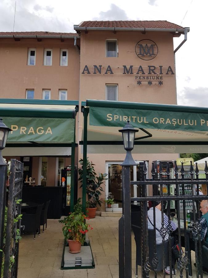 Pensiunea Ana Maria Băile Felix Exteriér fotografie