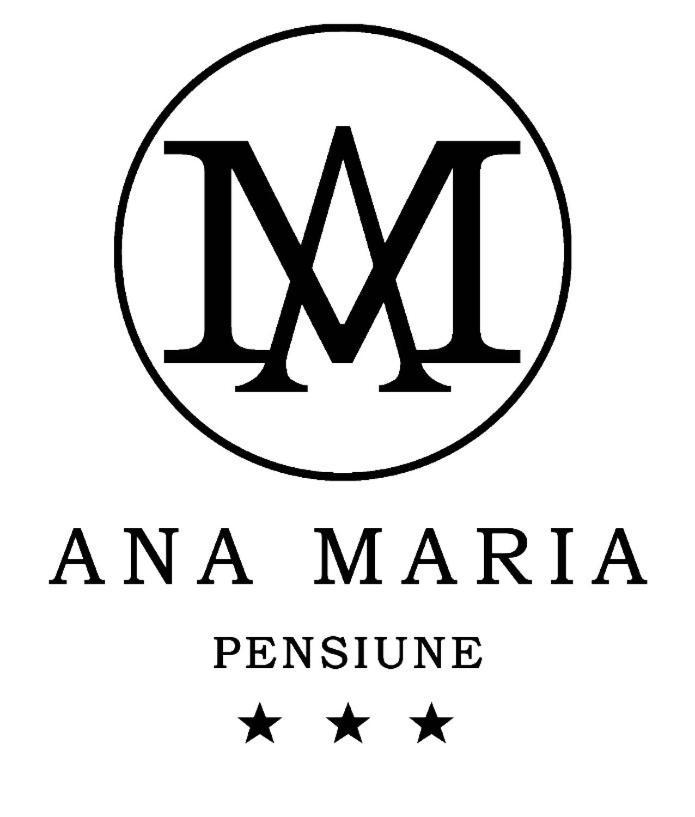 Pensiunea Ana Maria Băile Felix Exteriér fotografie